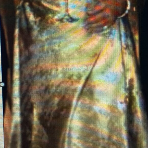 Rene Ruiz Collection shades of gold and silver gown . Mother of the Bride dress - Picture 5 of 6